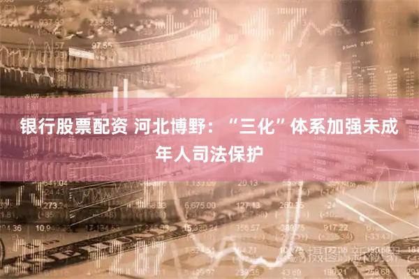 银行股票配资 河北博野：“三化”体系加强未成年人司法保护