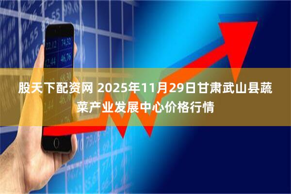 股天下配资网 2025年11月29日甘肃武山县蔬菜产业发展中心价格行情