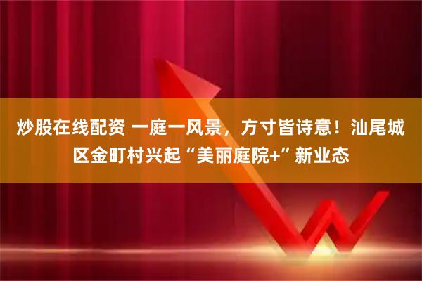 炒股在线配资 一庭一风景，方寸皆诗意！汕尾城区金町村兴起“美丽庭院+”新业态