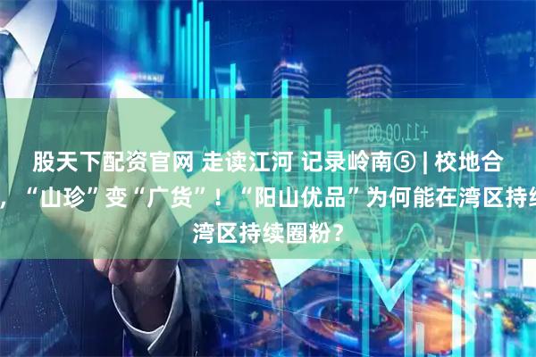 股天下配资官网 走读江河 记录岭南⑤ | 校地合作搭台，“山珍”变“广货”！“阳山优品”为何能在湾区持续圈粉？